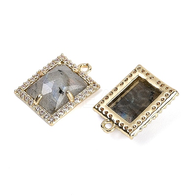 Natural Labradorite Faceted Rectangle Pendants G-I375-05G-01-1