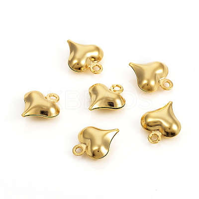 304 Stainless Steel Charms LS-STAS-I149-05A-G-1