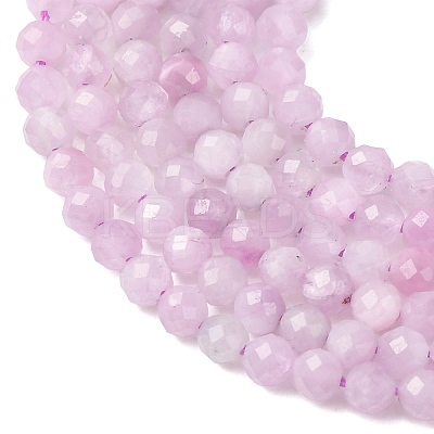 Natural Kunzite Beads Strands G-G259-D11-3mm-01-1