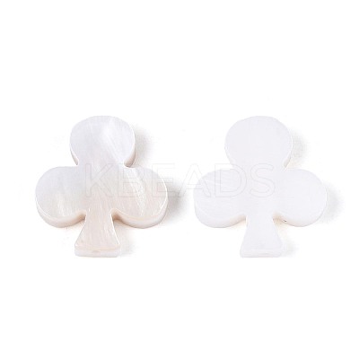Natural Freshwater Shell Beads BSHE-T014-45-1