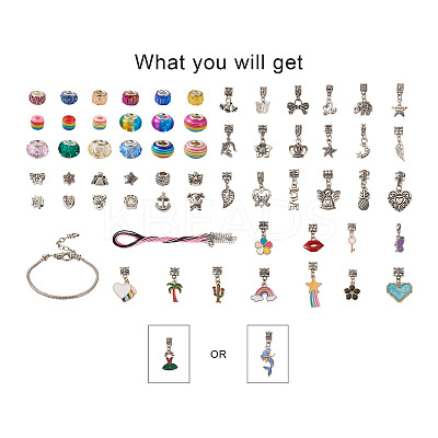 DIY Europen Bracelet Necklace Making Kit DIY-CD0001-46-1