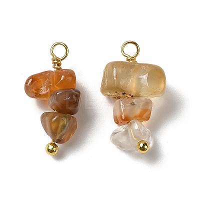 Natural Red Agate Pendants KK-P242-31G-01-1