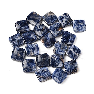 Natural Blue Spot Jasper Beads Strands G-L239-17-1