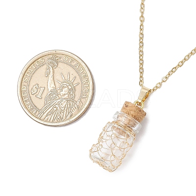 Copper Wire Wrapped Empty Glass Bottle Pendant 304 Stainless Steel Cable Chain Necklaces for Women Men NJEW-JN05276-1