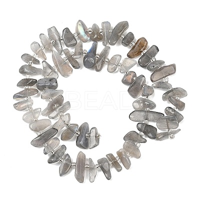 Natural Labradorite Beads Strands G-C273-B01-1