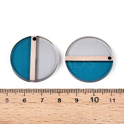 Transparent Resin & Wood Pendants RESI-T057-57A-1