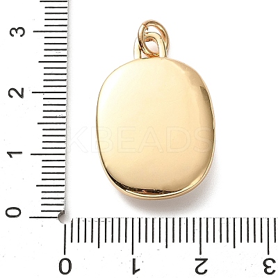 Golden Tone Brass Enamel Pendants KK-CBADFD5-03G-A-1