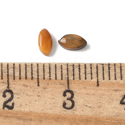 Natural Tiger Eye Cabochons G-Z075-05A-1