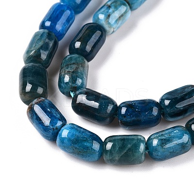 Natural Apatite Beads Strands G-G980-51A-1