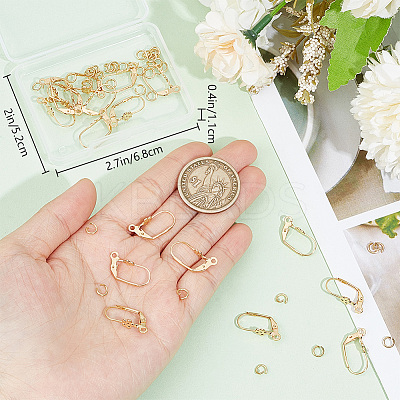 20Pcs 304 Stainless Steel Leverback Earring Findings STAS-BBC0003-91-1