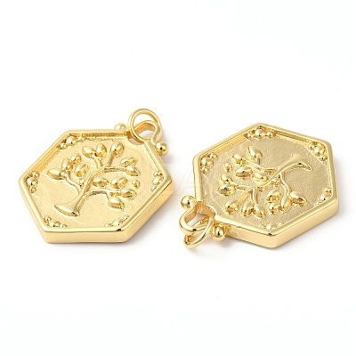 Eco-Friendly Rack Plating Brass Pendants KK-R143-16G-1