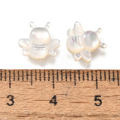 Natural White Shell Beads BSHE-Z008-06-1