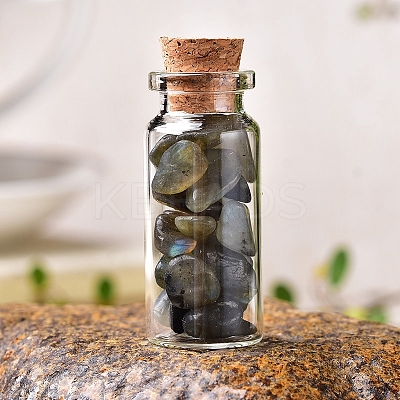 Glass Wishing Bottles PW-WG27717-02-1