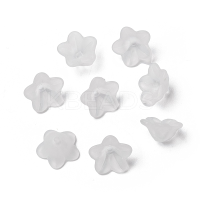 Transparent Acrylic Beads X-PL560-1-1