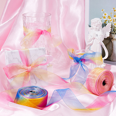 2 Skeins 2 Colors Rainbow Color Polyester Organza Ribbon SRIB-CY0001-04-1