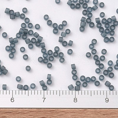 MIYUKI Delica Beads X-SEED-J020-DB0387-1