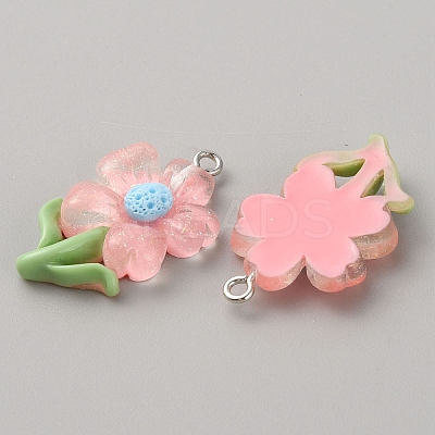 Translucent Resin Pendants RESI-TAC0004-32P-04-1
