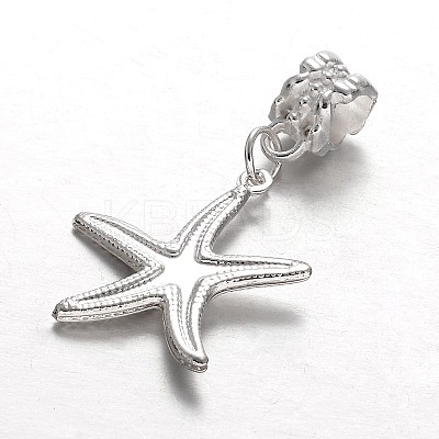 Alloy European Dangle Charms MPDL-E045-10-1