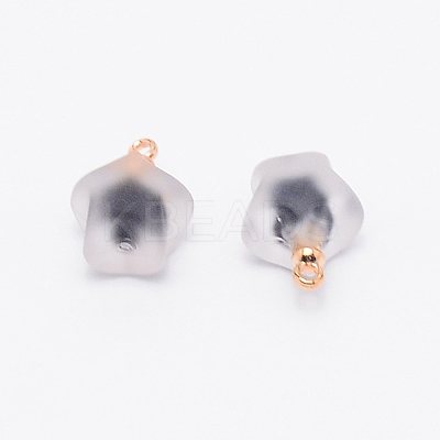Resin Frosted Pendants MP-TAC0009-03F-1