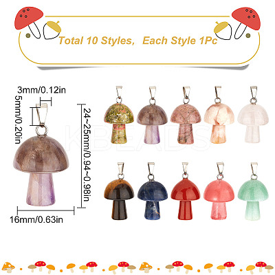 10Pcs 10 Style Natural & Synthetic Gemstone Pendants G-SC0001-79-1