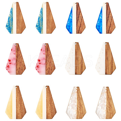 12Pcs 6 Colors Opaque Resin & Walnut Pendants RESI-TA0003-41-1