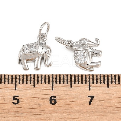 Brass Micro Pave Clear Cubic Zirconia Charms KK-H292-56B-P-1