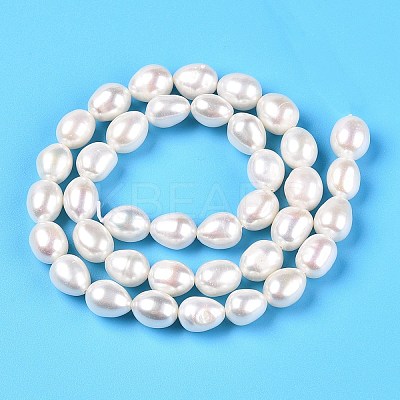 Natural Cultured Freshwater Pearl Beads Strands PEAR-N012-07U-1