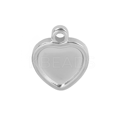 304 Stainless Steel Charms PW-WGD7194-01-1
