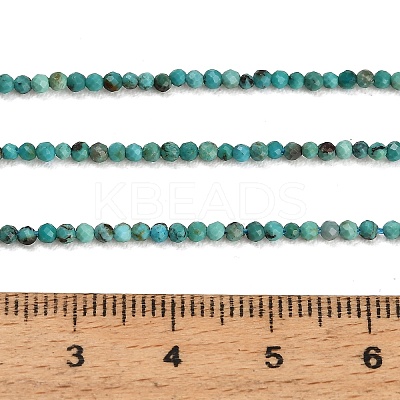 Natural HuBei Turquoise Beads Strands GG-CBA767B-A02-1