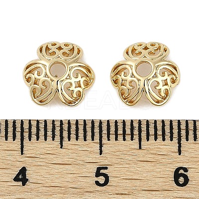 Brass Bead Caps KK-I719-10G-1
