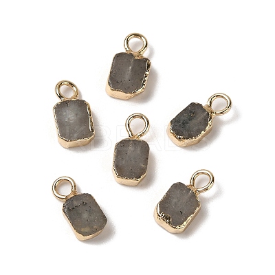 Natural Labradorite Rectangle Charms G-Q169-07G-11-1