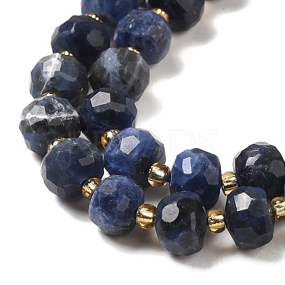 Natural Sodalite Beads Strands G-P508-A10-01-1