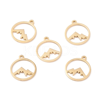Ion Plating(IP) 304 Stainless Steel Charms STAS-N090-LA003G-1