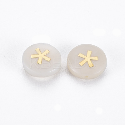 Natural Freshwater Shell Beads SHEL-N003-22-09-1