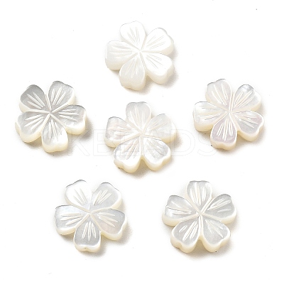 Natural White Shell Carved Beads SSHEL-Z002-02A-1