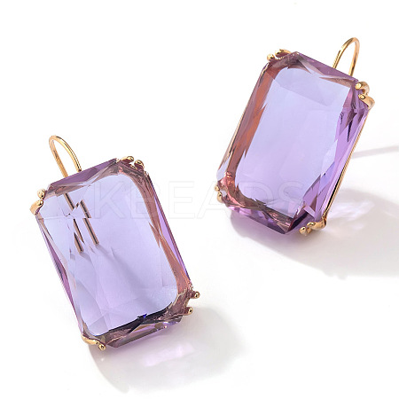 Rectangle Alloy Cubic Zirconia Dangle Earrings FS-WGB3F13-04-1
