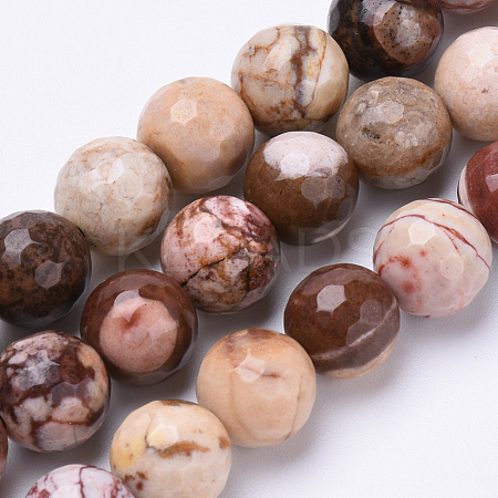 Natural Zebra Jasper Beads Strands G-S281-06-8mm-1