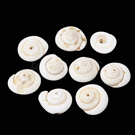 Natural Shiva Eye Shell Beads LS-SSHEL-Q302-01-1
