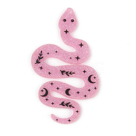 Opaque Printed Acrylic Pendants OACR-R007-01C-1