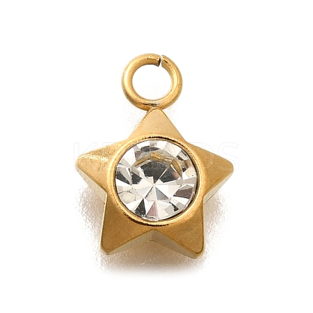 304 Stainless Steel Pave Cubic Zirconia Charms LS-STAS-D310-07G-03-1