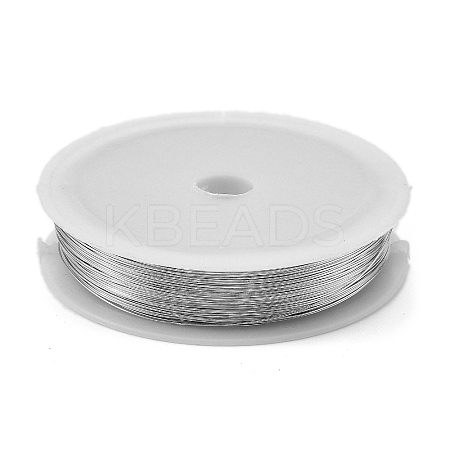 Baking Paint Iron Wire MW-NH0001-05C-1