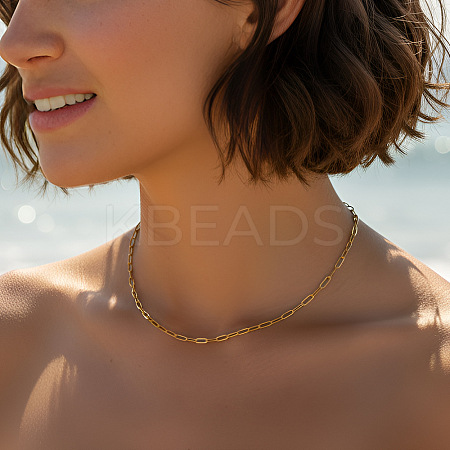 304 Stainless Steel Paperclip Chain Necklaces BZ2870-1