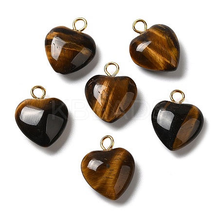 Natural Tiger Eye Pendants G-E603-01G-06-1