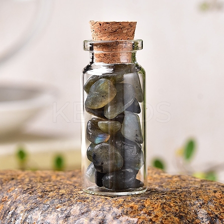 Glass Wishing Bottles PW-WG27717-02-1