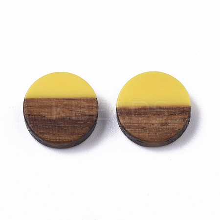 Resin & Wood Cabochons RESI-S358-70-H34-1