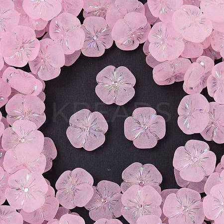 Frosted Transparent Acrylic Beads X1-OACR-P029-19B-05-1