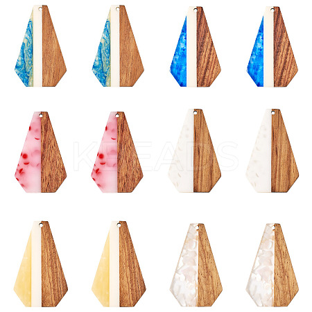 12Pcs 6 Colors Opaque Resin & Walnut Pendants RESI-TA0003-41-1