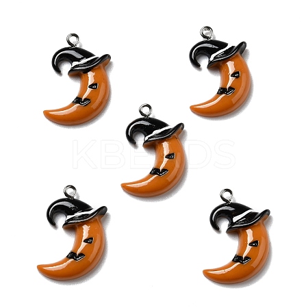 Halloween Opaque Resin Pendants RESI-D055-106P-1
