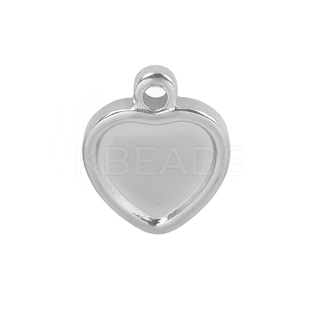 304 Stainless Steel Charms PW-WGD7194-01-1