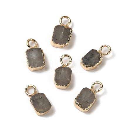 Natural Labradorite Rectangle Charms G-Q169-07G-11-1